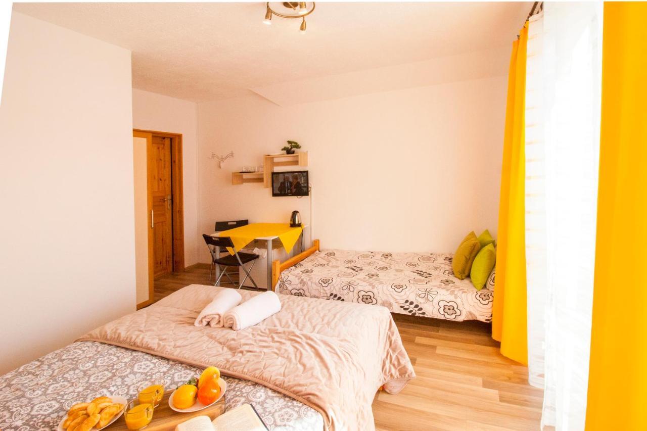 Bieszczadzki Brat Apartamenty Polańczyk 외부 사진